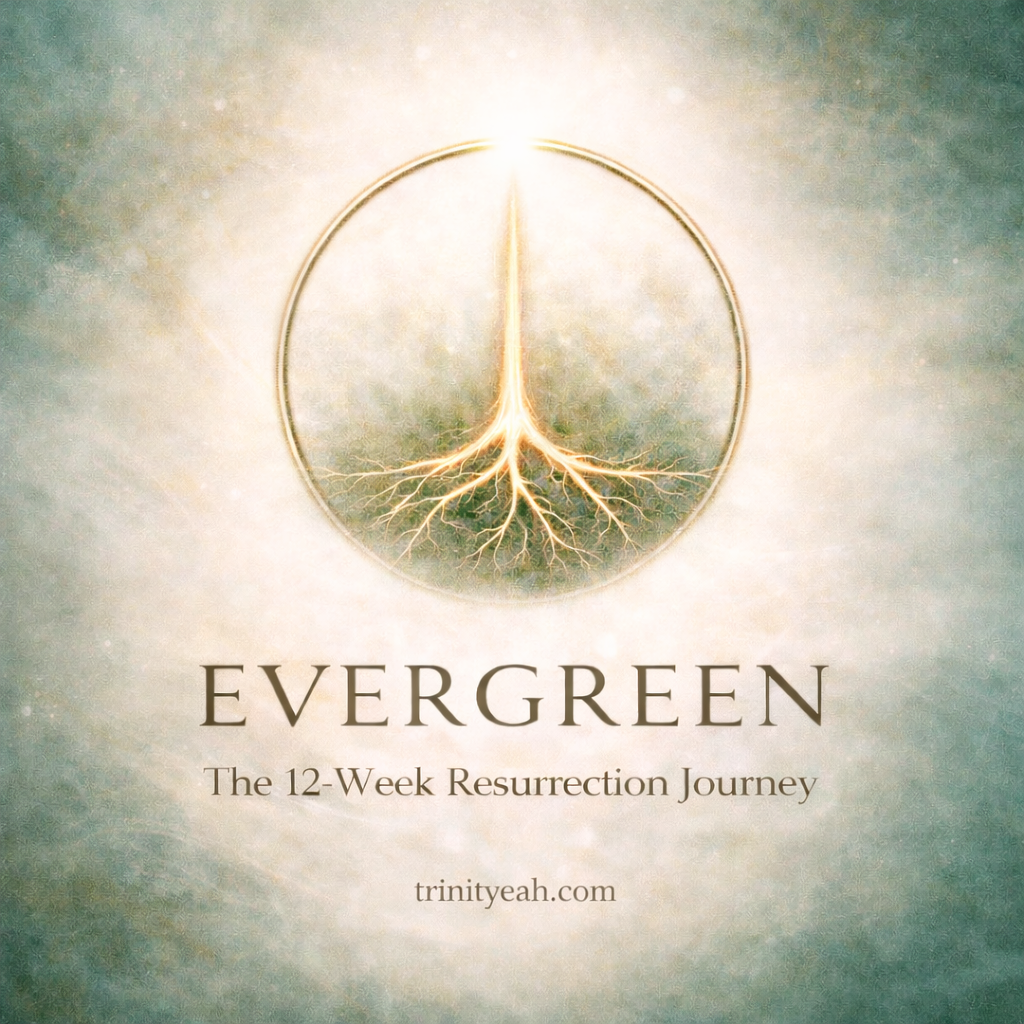 Evergreen Restoration Program