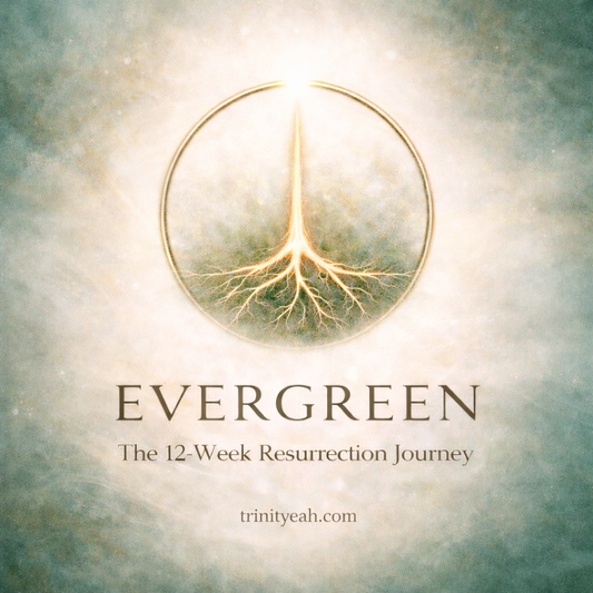 Evergreen Restoration Program
